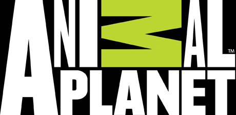 animal_planet_logo